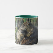 Mug Deux loutres de rivière (Centre)