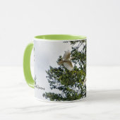 Mug Deux Rares Volant Blanc Ravent Faune Photographie (Devant gauche)