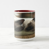 Mug Deux Siamais endormis (Centre)