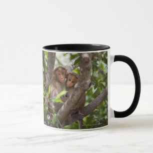 Mug Deux singes dans un arbre