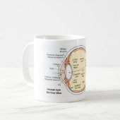 Mug Diagramme anatomique de boule d'oeil humain de (Devant gauche)