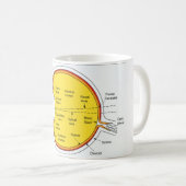 Mug Diagramme anatomique de la boule d'oeil humain (Devant droit)