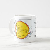 Mug Diagramme anatomique de la boule d'oeil humain (Devant gauche)