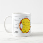 Mug Diagramme anatomique de la boule d'oeil humain (Gauche)