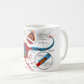 Mug Diagramme Cellule Neuronale Complète Système Nerve (Devant droit)