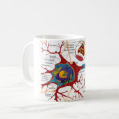 Mug Diagramme Cellule Neuronale Complète Système Nerve (Devant gauche)