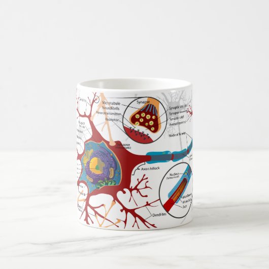 Mug Diagramme Cellule Neuronale Complète Système Nerve (Centre)