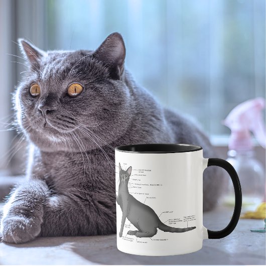 Mug Diagramme d'anatomie de chat drôle Humour Nerd