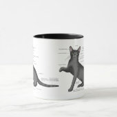 Mug Diagramme d'anatomie de chat drôle Humour Nerd (Centre)