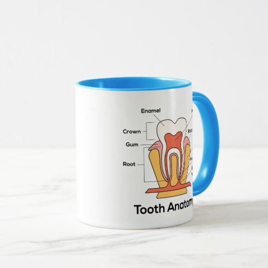 Mug Diagramme d'anatomie de dent (Devant droit)