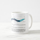 Mug Diagramme de Caenorhabditis elegans d'ascaride (Devant droit)