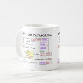 Mug Diagramme de catabolisme d'acide aminé (Devant gauche)