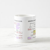 Mug Diagramme de catabolisme d'acide aminé (Centre)
