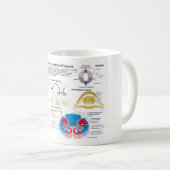 Mug Diagramme de la colonne vertébrale humaine (Devant droit)