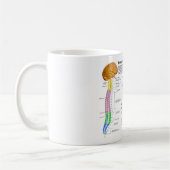 Mug Diagramme de la colonne vertébrale humaine (Gauche)