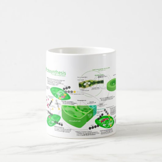 Mug Diagramme de la photosynthèse C4 (Centre)