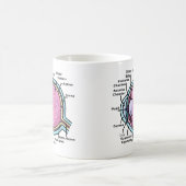 Mug Diagramme de l'oeil (Centre)