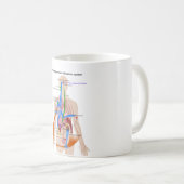 Mug Diagramme de système (RAS) de rénine-angiotensine (Devant droit)