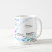 Mug Diagramme des facteurs de transcription de gène (Devant droit)