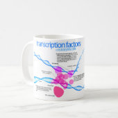 Mug Diagramme des facteurs de transcription de gène (Devant gauche)