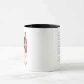 Mug Diagramme du système musculaire (Centre)