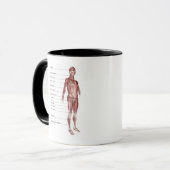 Mug Diagramme du système musculaire (Devant gauche)