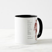 Mug Diagramme du système musculaire (Devant droit)