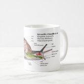 Mug Diagramme d'un escargot de jardin commun (aspersa (Devant droit)