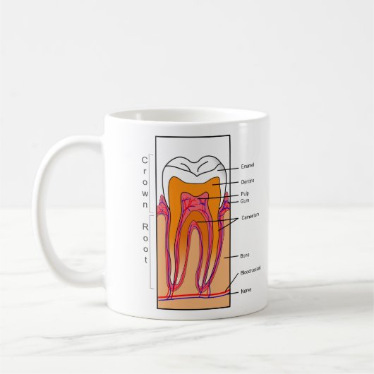 Mug Diagramme en coupe d'une dent humaine (Gauche)