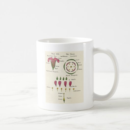 Mug Diagramme floral (Droite)