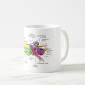 Mug Diagramme humain d'oreille avec la cartographie (Devant droit)