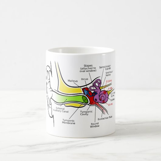 Mug Diagramme humain d'oreille avec la cartographie (Centre)