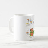 Mug Diagramme Système digestif gastro-intestinal humai (Devant gauche)