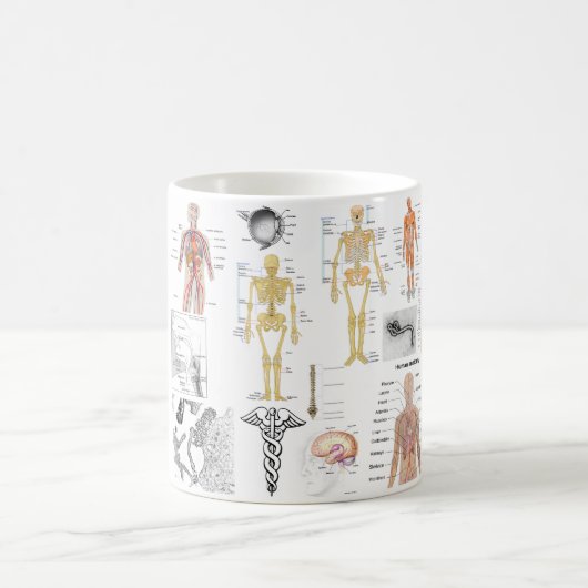 Mug Diagrammes humains d'anatomie (Centre)