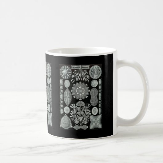 Mug Diatomées (Droite)