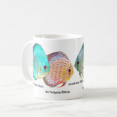 Mug Discus fish (Devant gauche)