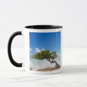 Mug Divi Divi Divi Tree, Eagle Beach, Aruba, Caraïbes (Gauche)