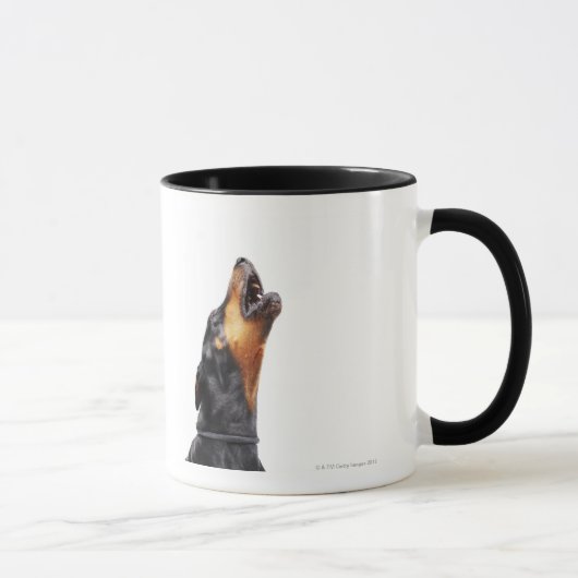 Mug Dobermann hurlant, plan rapproché (Droite)