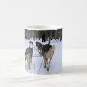 Mug Dog Sledding à Québec, Canada (Centre)