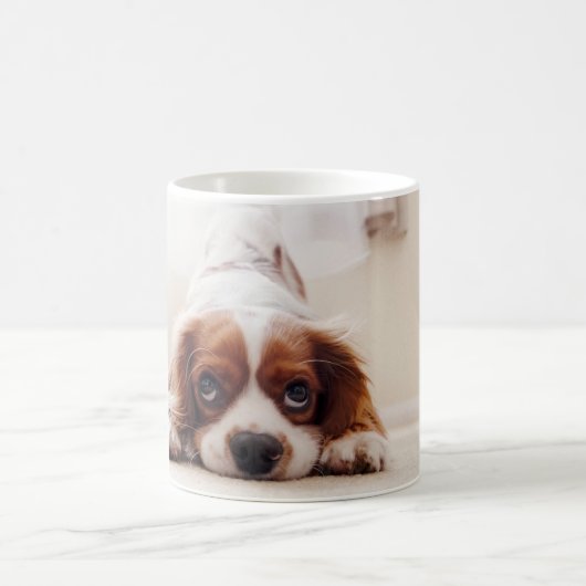 Mug Doggy (Centre)