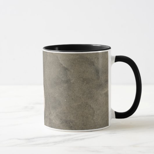 Mug Dollar de sable (Echinarachnius parma) (Droite)