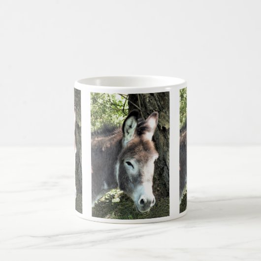 MUG DONKEY (Centre)