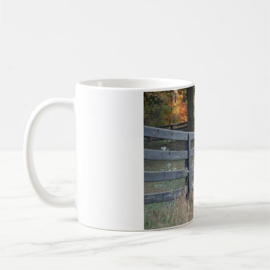 Mug Donkey dans un champ d'automne (Gauche)