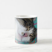 Mug Dormir de miel (Centre)