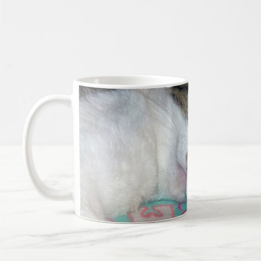 Mug Dormir de miel (Gauche)