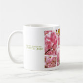 Mug Double Cherry Blossom: Sato-zakura (Gauche)