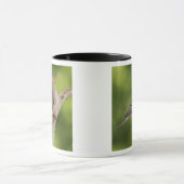 Mug Dove de deuil, Zenaida macroura (Centre)