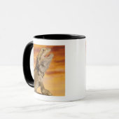Mug Dragon barbu (Pogona Vitticeps) sur la roche, (Devant gauche)
