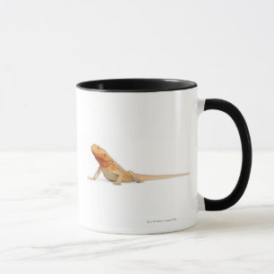 Mug Dragon barbu scaleless de SilkBacks - Pogona