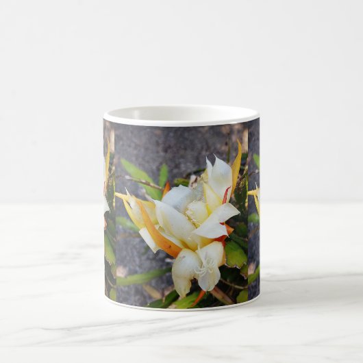 MUG DRAGON POLYNÉSIEN CACTUS BLOC DE NUIT (Centre)